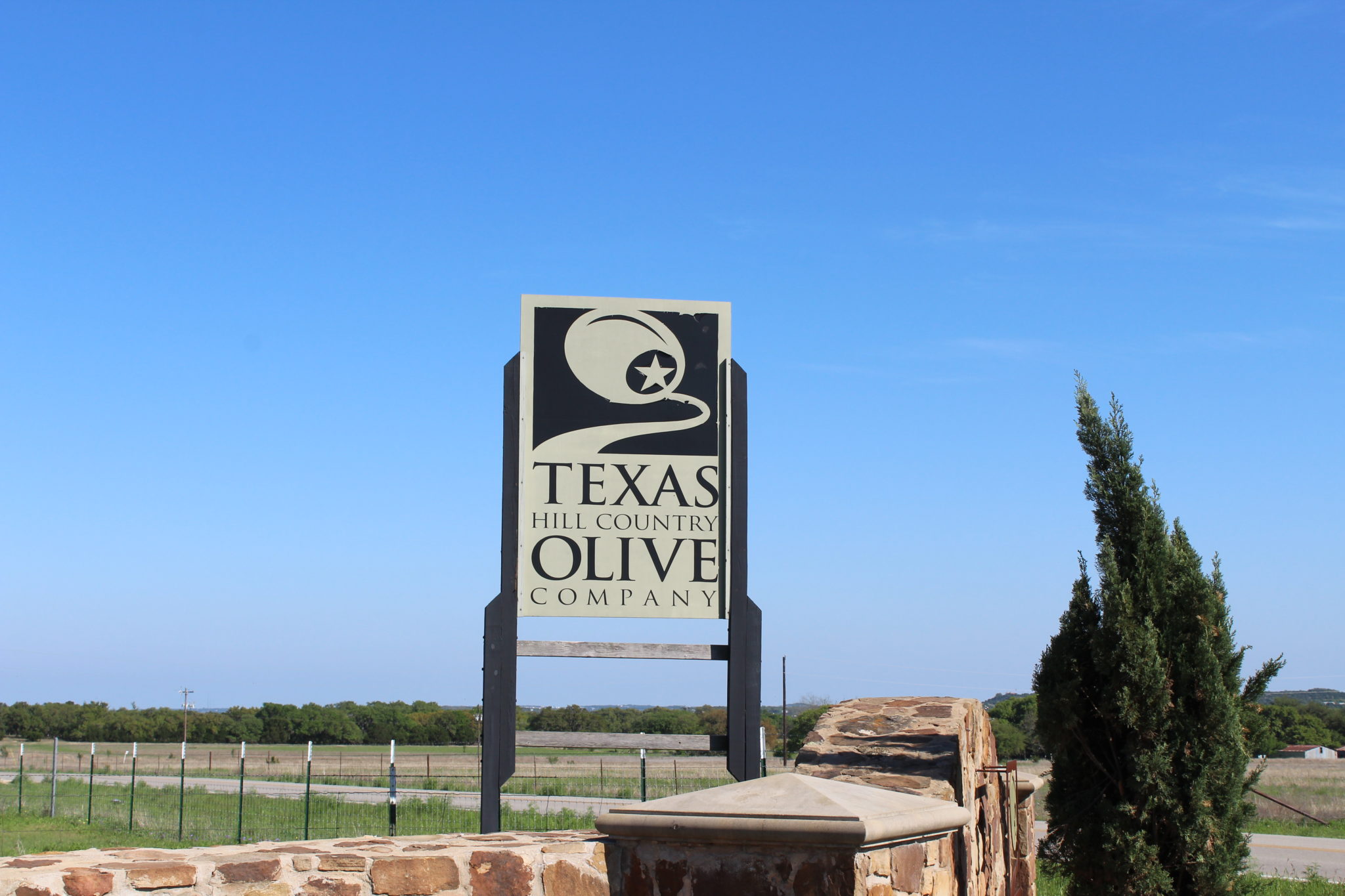 Olive Oil made in Texas