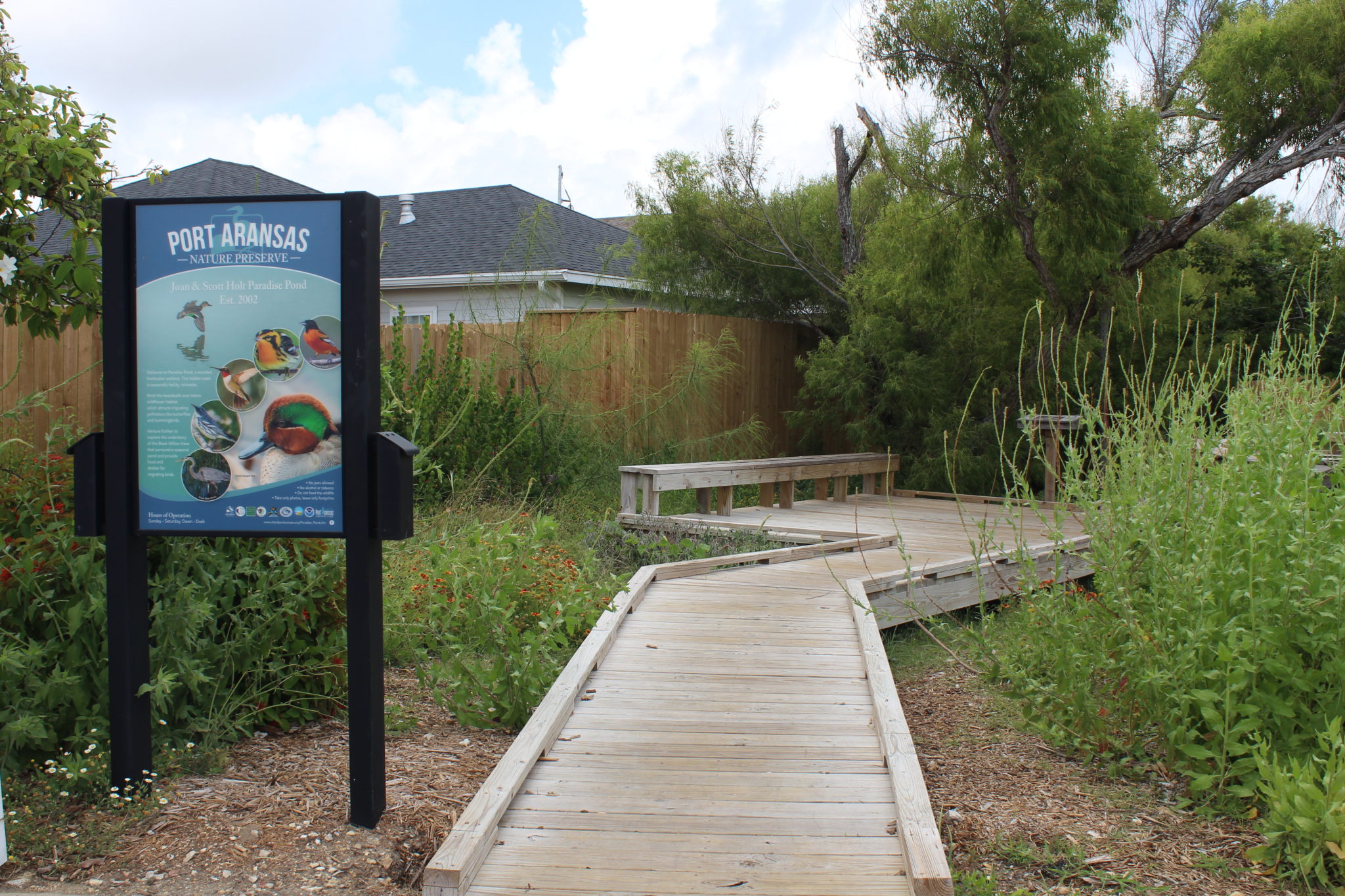 Texas Bird Watching and Wetlands