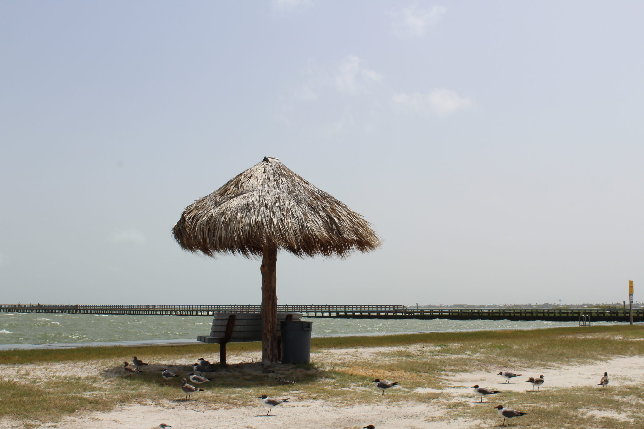 Things to do in Rockport, Texas