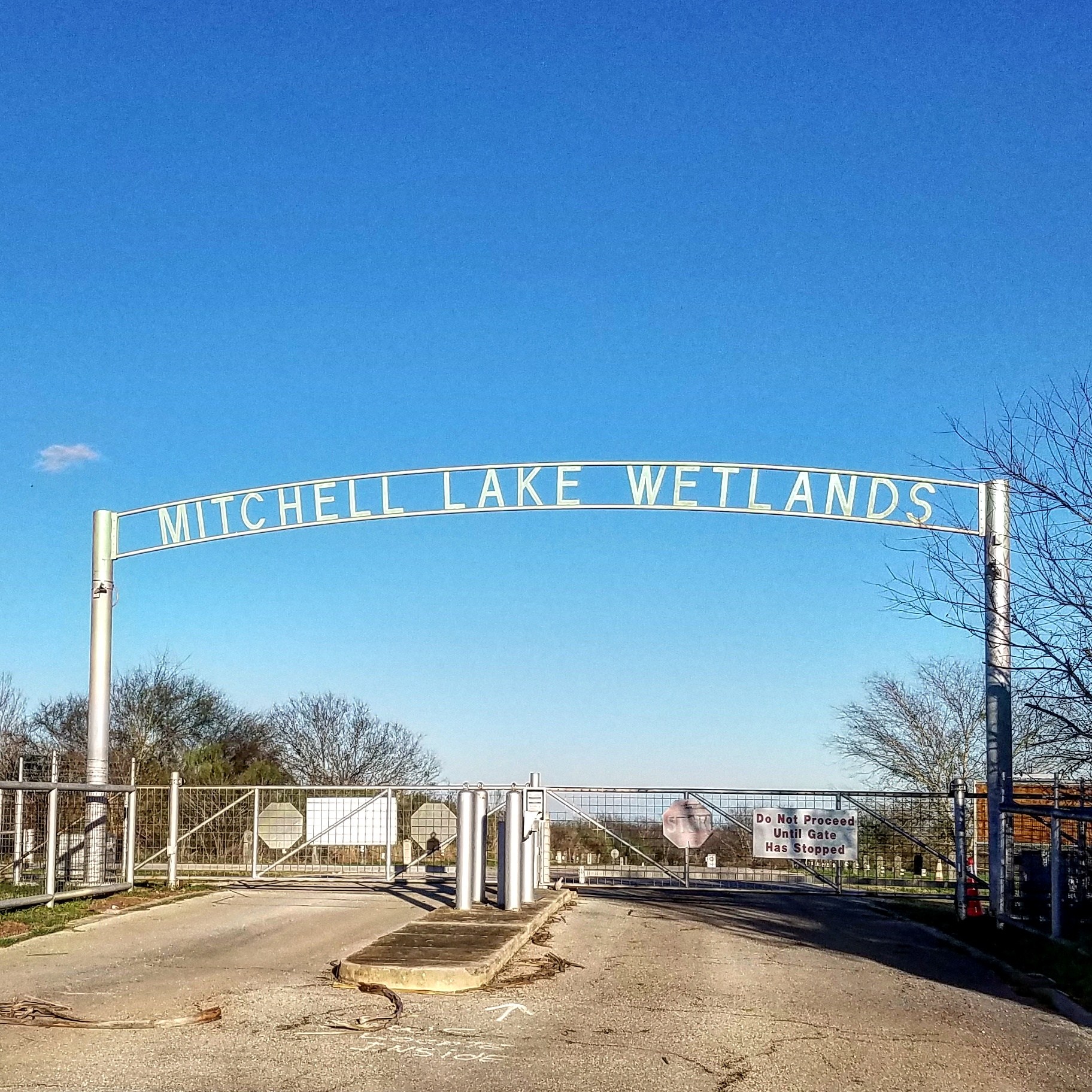 Mitchell Lake Wetlands