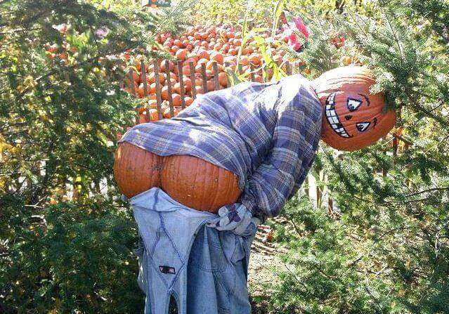 Pumpkin patches San Antonio